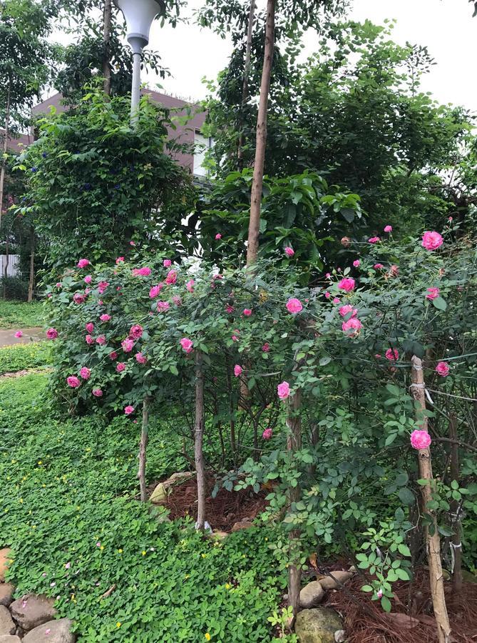 Flamingo Dailai - Hq Villa Ngoc Quang Екстер'єр фото